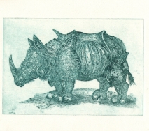 nashorn-gruen-r0000ff-40x26cm