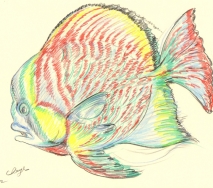 fisch-bunt-b1202ff-s-40x30cm